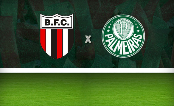 Resultado de imagem para botafogo sp x palmeiras ao vivo