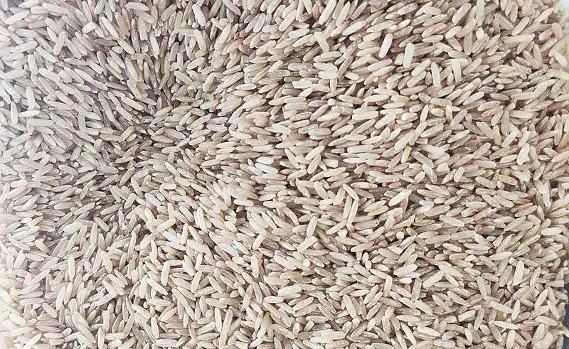 Foto mostra grãos de arroz integral.