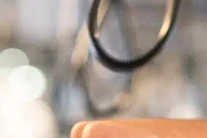 1544524403482