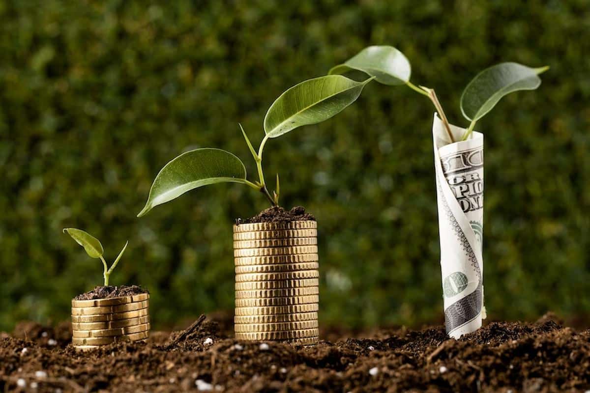 Imagem mostra moedas e uma cédula, das quais estão crescendo plantas. Imagem ilustrativa das simpatias para atrair dinheiro.